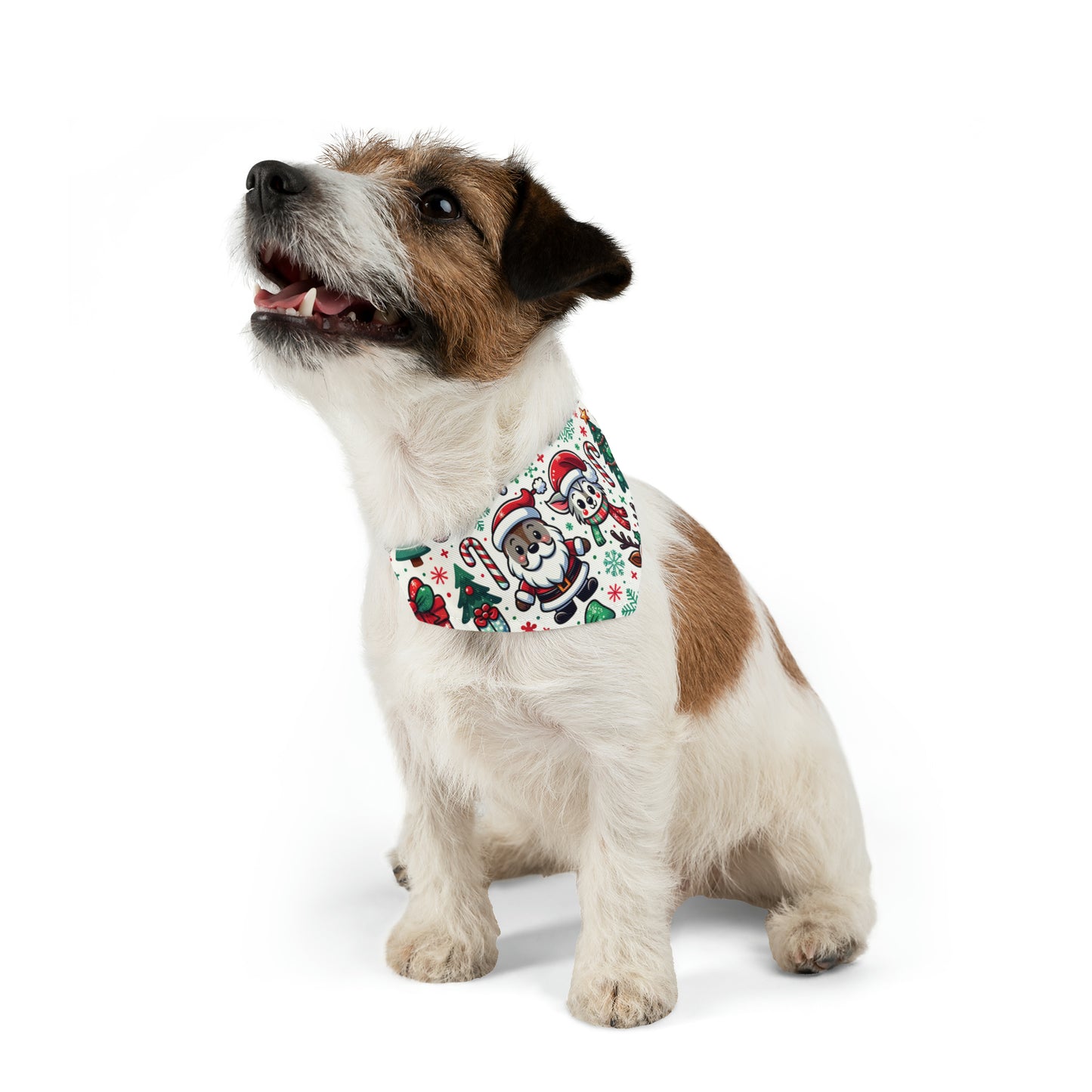 Festive Pet Bandana Collar